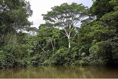 《InZOI》犯罪和惩罚系统细节：偷窃财物会入狱